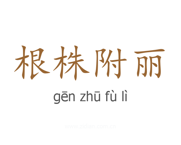 根株附丽