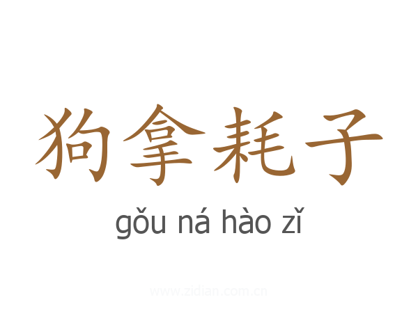 狗拿耗子