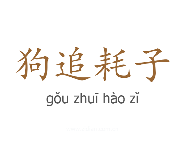 狗追耗子