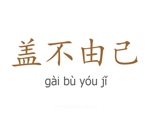 盖不由己