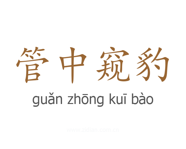 管中窥豹