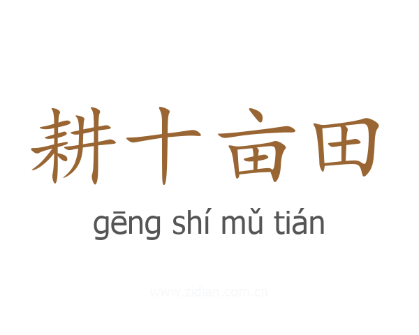 耕十亩田