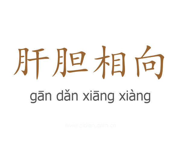 肝胆相向