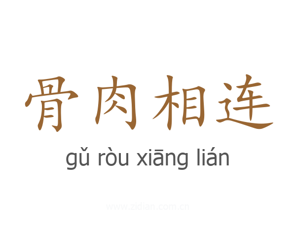骨肉相连
