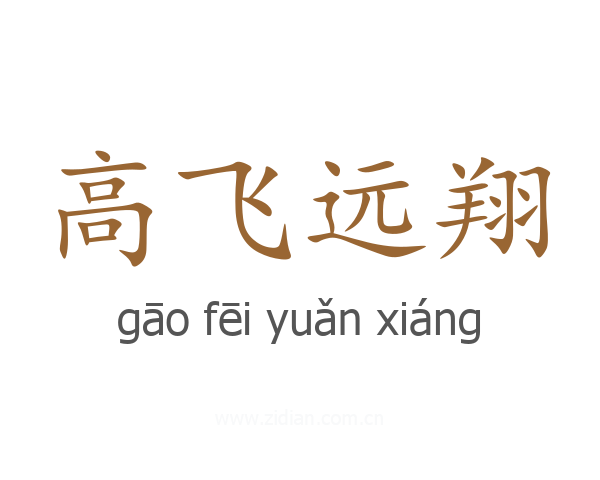 高飞远翔
