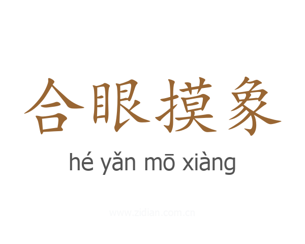 合眼摸象