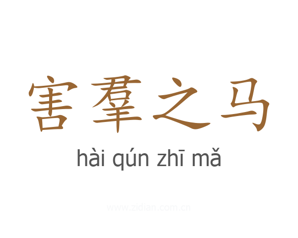 害羣之马