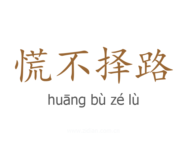 慌不择路