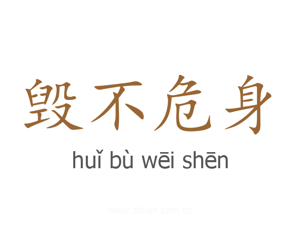 毁不危身