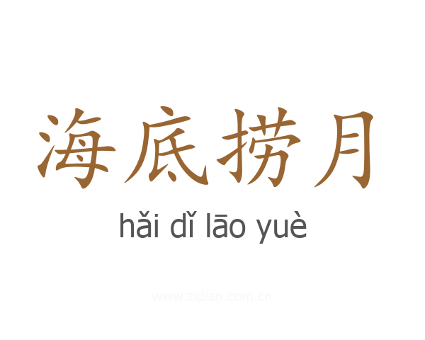 海底捞月