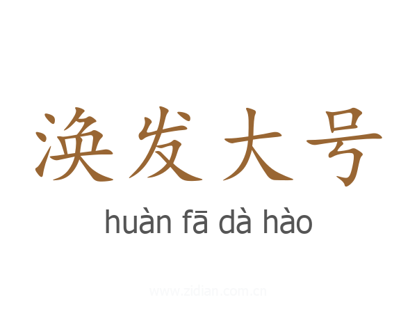 涣发大号