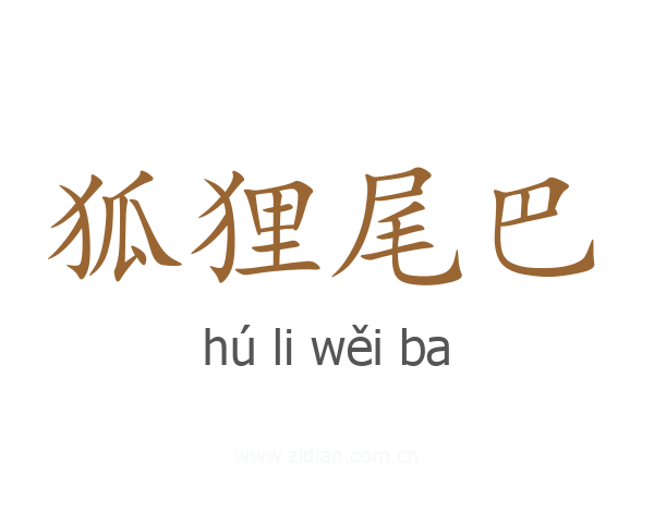 狐狸尾巴