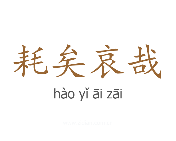 耗矣哀哉