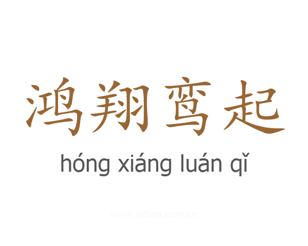 鸿翔鸾起
