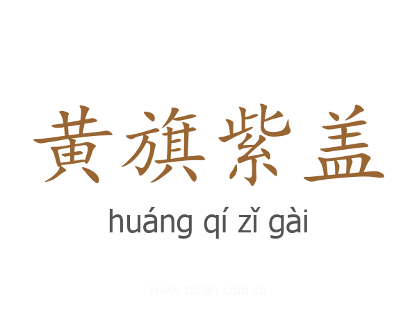 黄旗紫盖