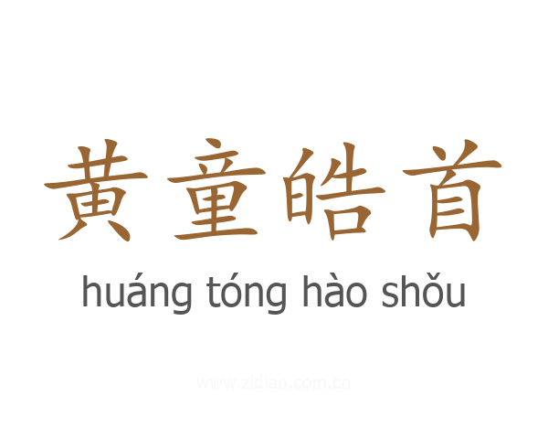 黄童皓首