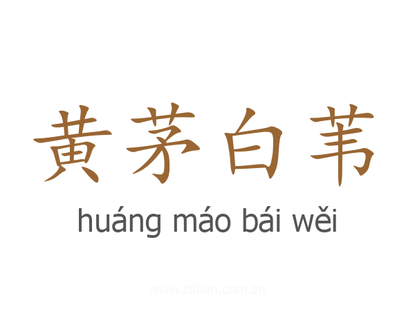 黄茅白苇