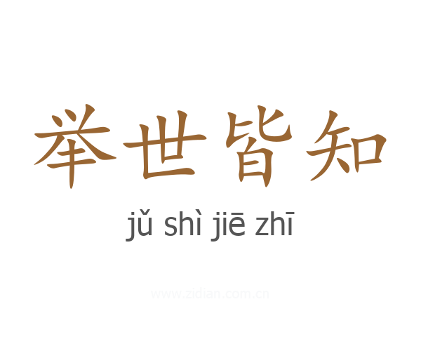举世皆知