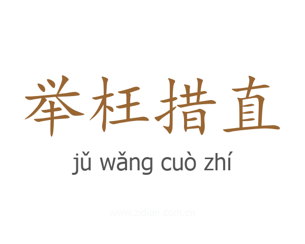 举枉措直