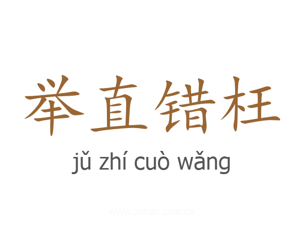 举直错枉
