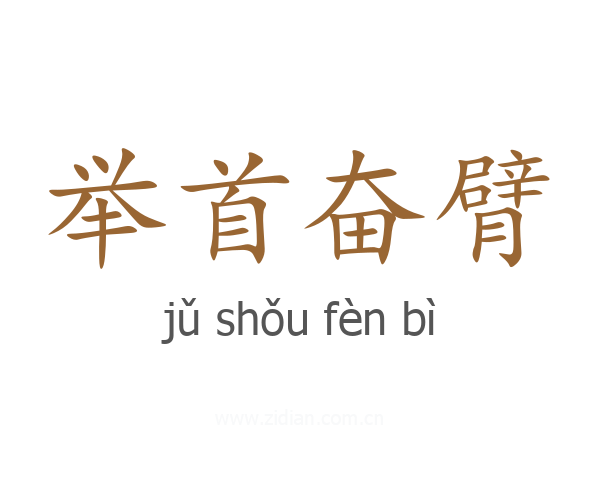 举首奋臂
