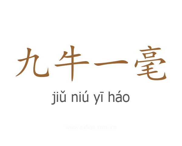 九牛一毫
