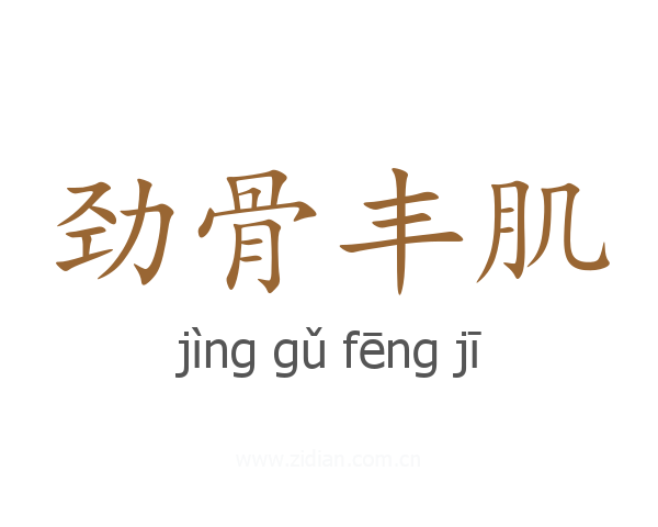 劲骨丰肌
