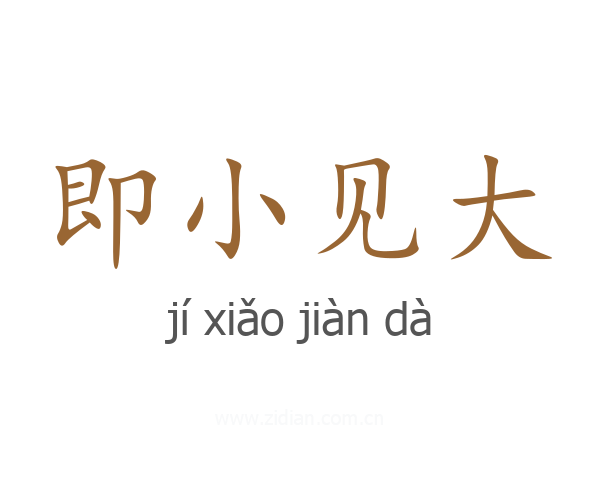 即小见大
