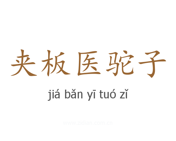 夹板医驼子