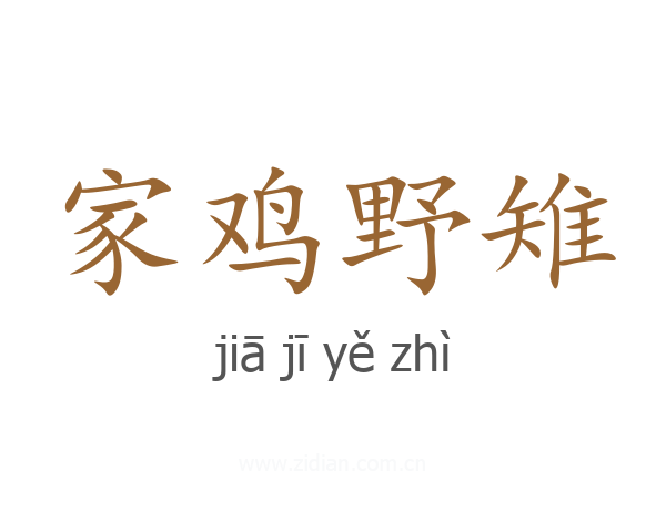 家鸡野雉