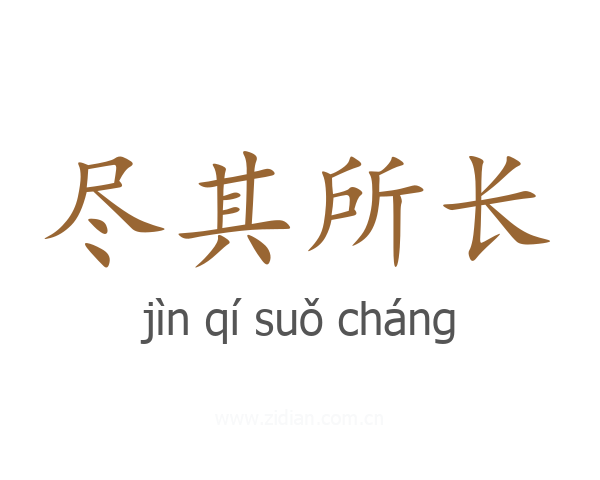 尽其所长