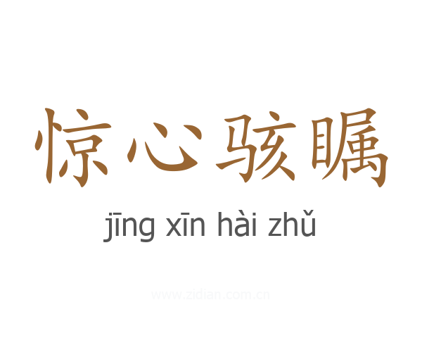 惊心骇瞩