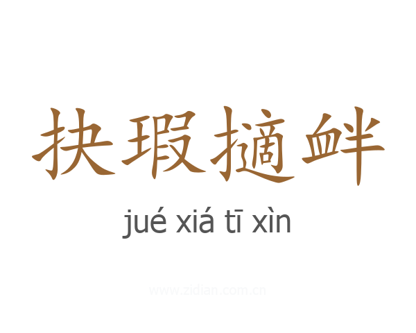 抉瑕擿衅