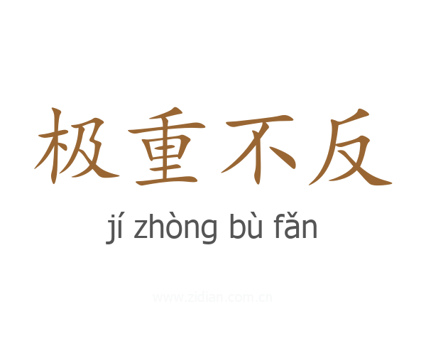 极重不反