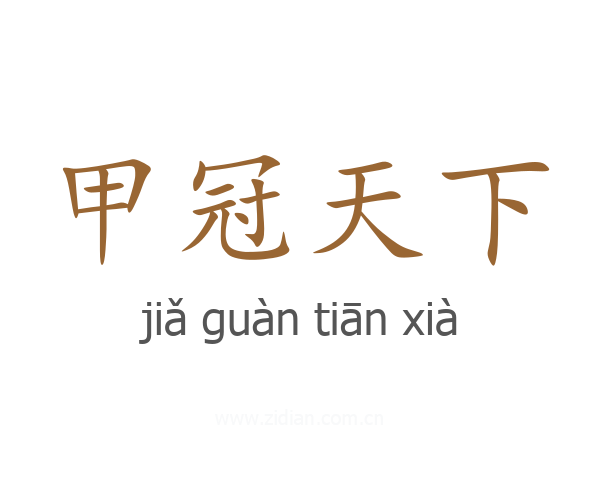 甲冠天下