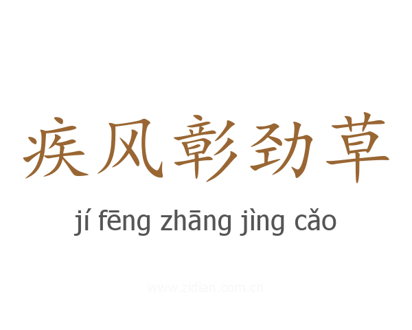 疾风彰劲草