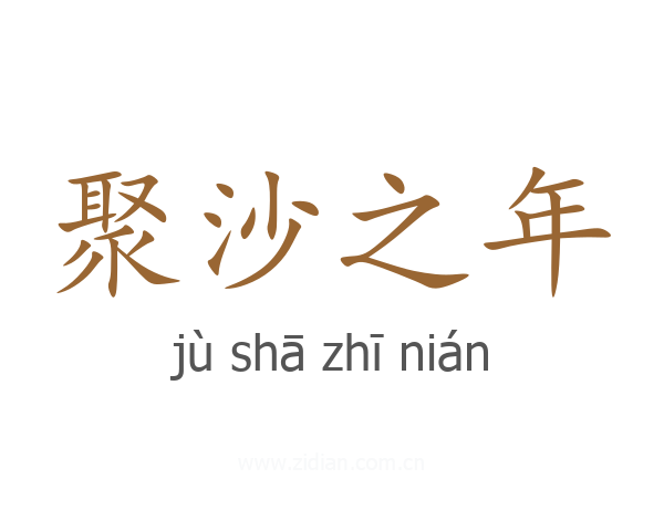 聚沙之年