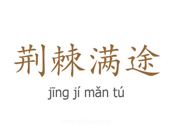 荆棘满途