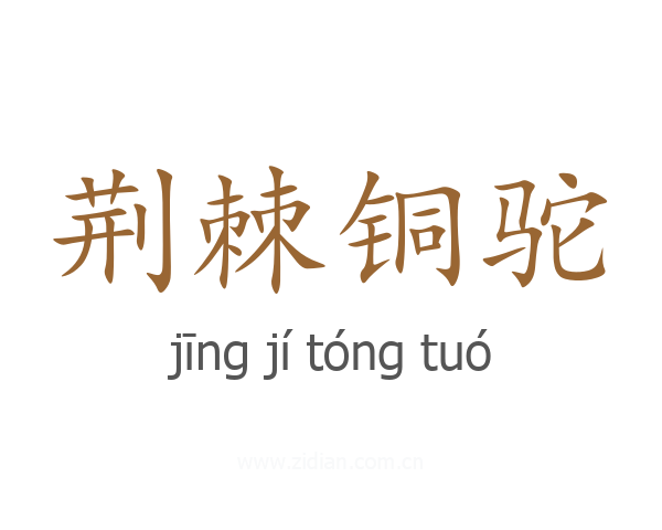 荆棘铜驼