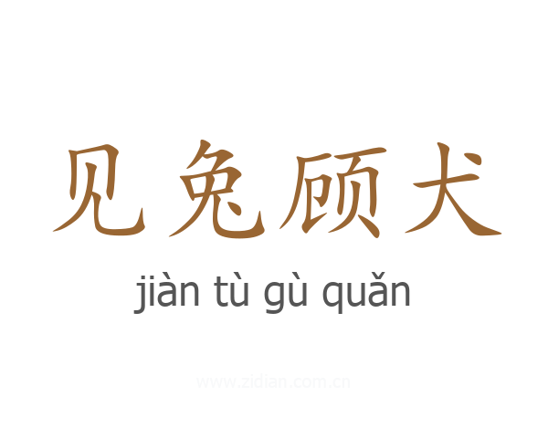 见兔顾犬