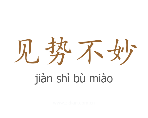 见势不妙