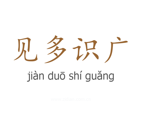 见多识广