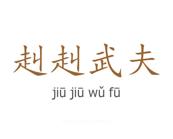 赳赳武夫