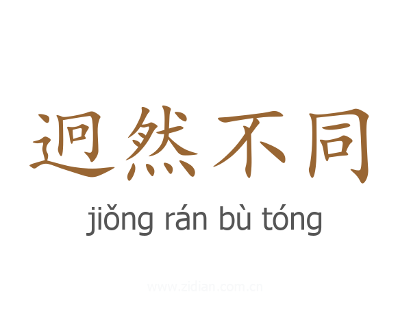 迥然不同