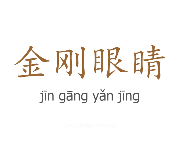 金刚眼睛