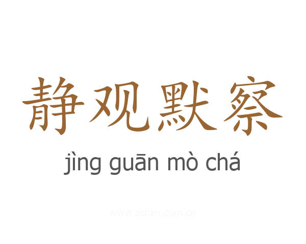 静观默察