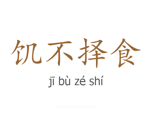 饥不择食