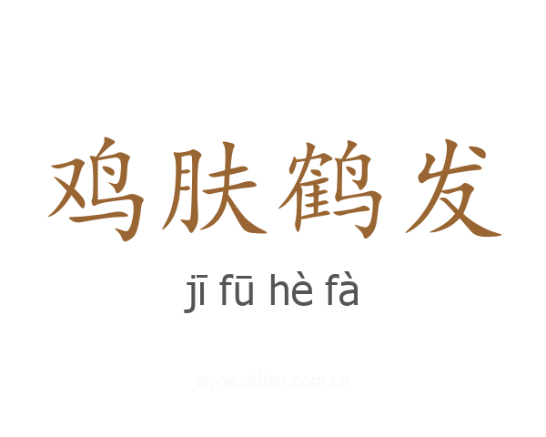 鸡肤鹤发
