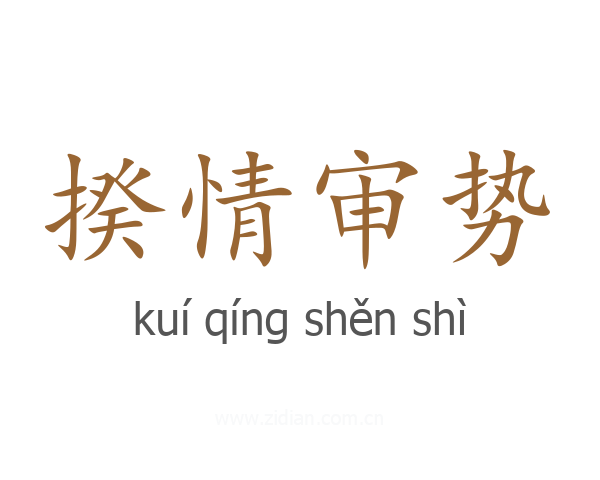 揆情审势