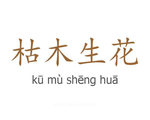 枯木生花